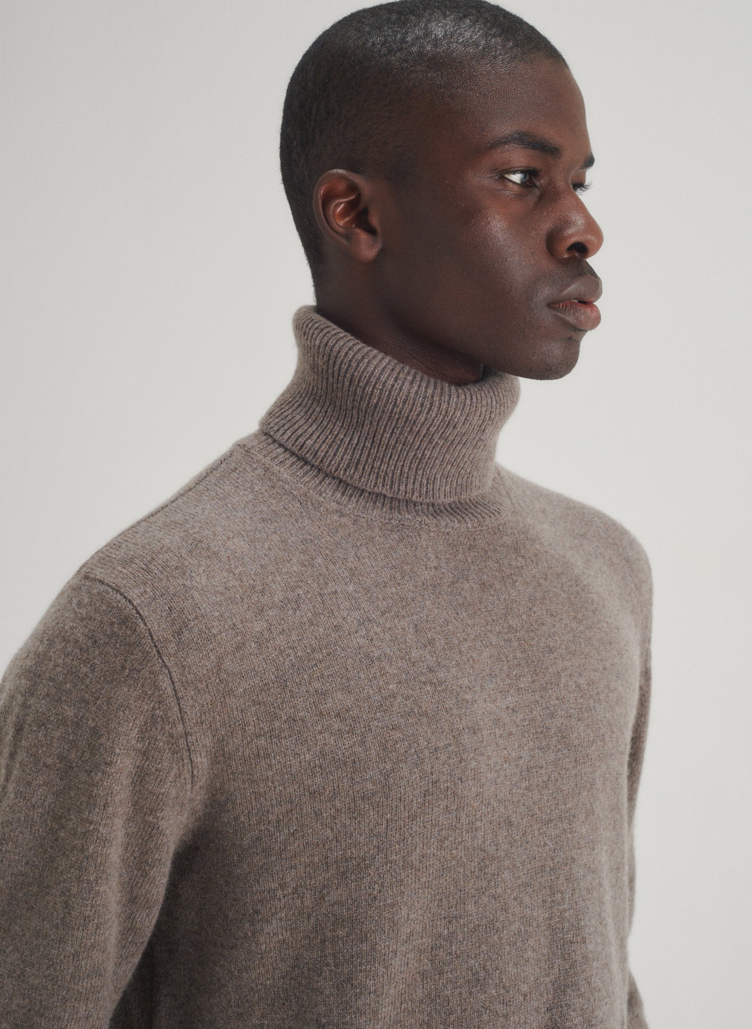 pull col roule 100 laine