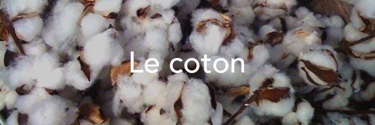 Le coton