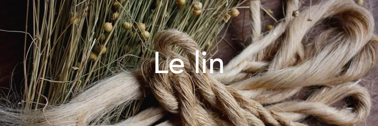 Le lin